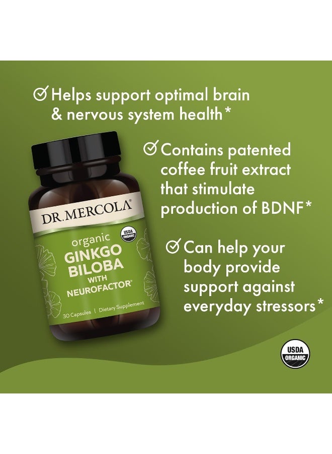 Dr. Mercola Organic Ginkgo Biloba with Coffee Fruit Extract Dietary Supplement - Image 5